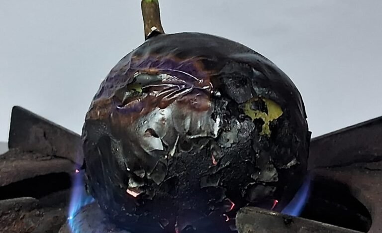 Tasty Baigan Bharta Recipe